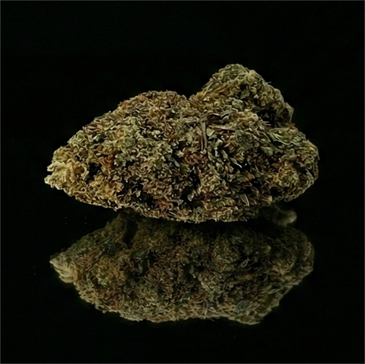 CALI TURBO | GLASSHOUSE