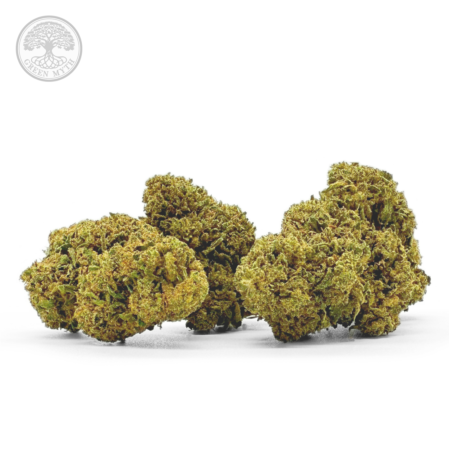AMNESIA WILD - GLASS