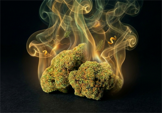 Terpenos 101: Por qué tu nariz sabe más que el porcentaje de CBD