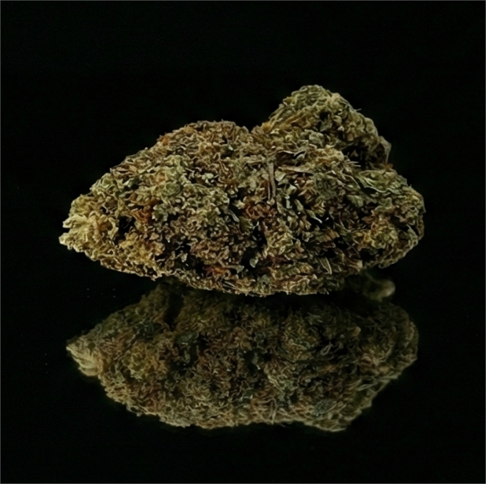 CALI TURBO | GLASSHOUSE