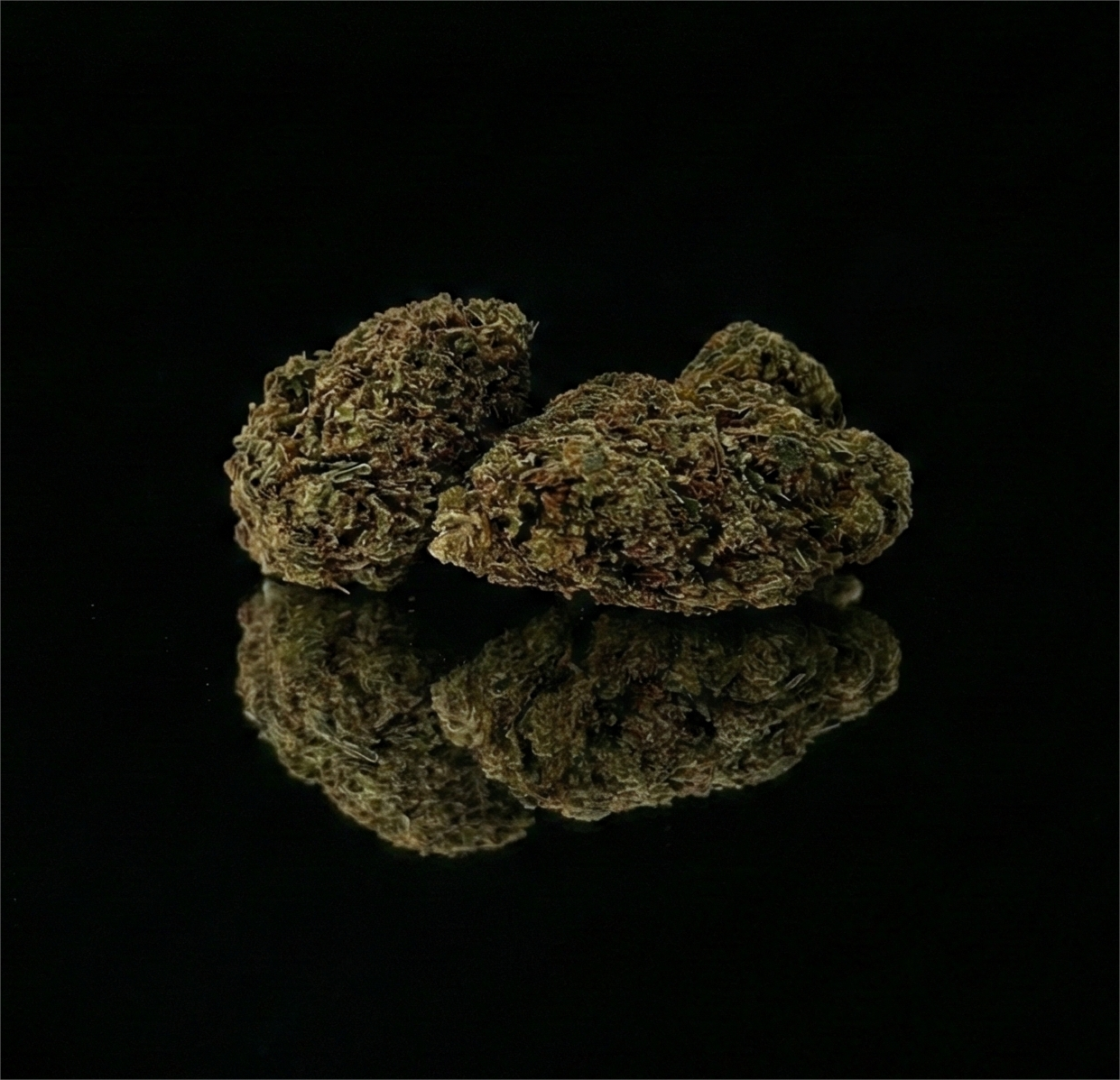 CALI TURBO | GLASSHOUSE