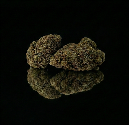 CALI TURBO | GLASSHOUSE