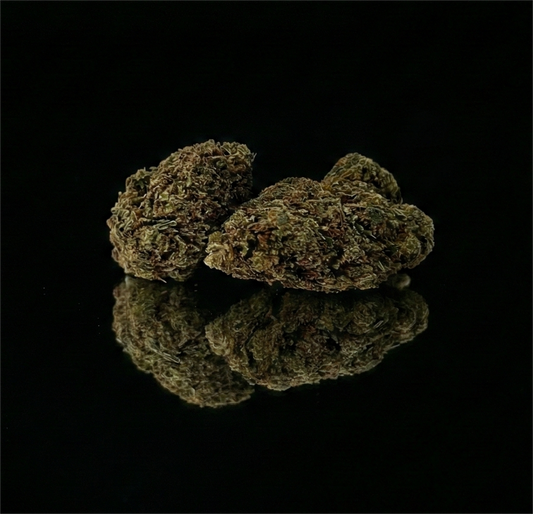 CALI TURBO | GLASSHOUSE