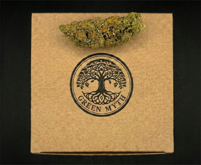 MANGO SORBET SATIVA | GLASSHOUSE