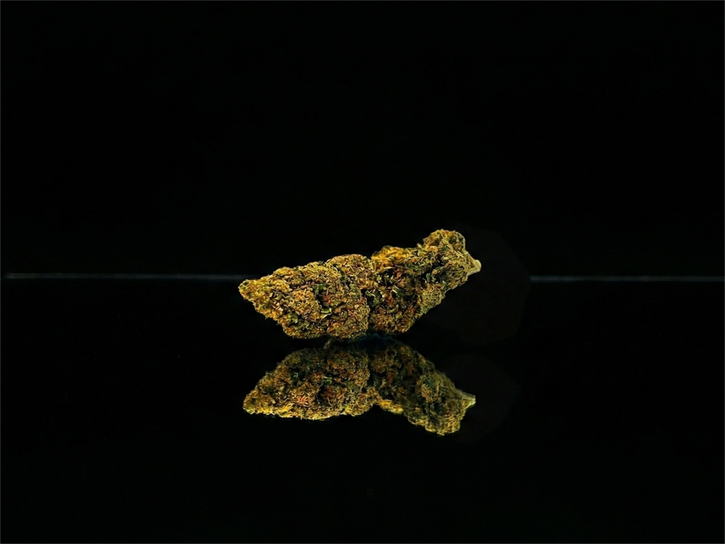 MANGO SORBET SATIVA | GLASSHOUSE