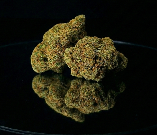 ULTRA LEMON HAZE | INDOOR