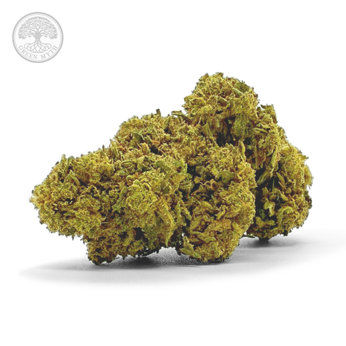 AMNESIA WILD - GLASS