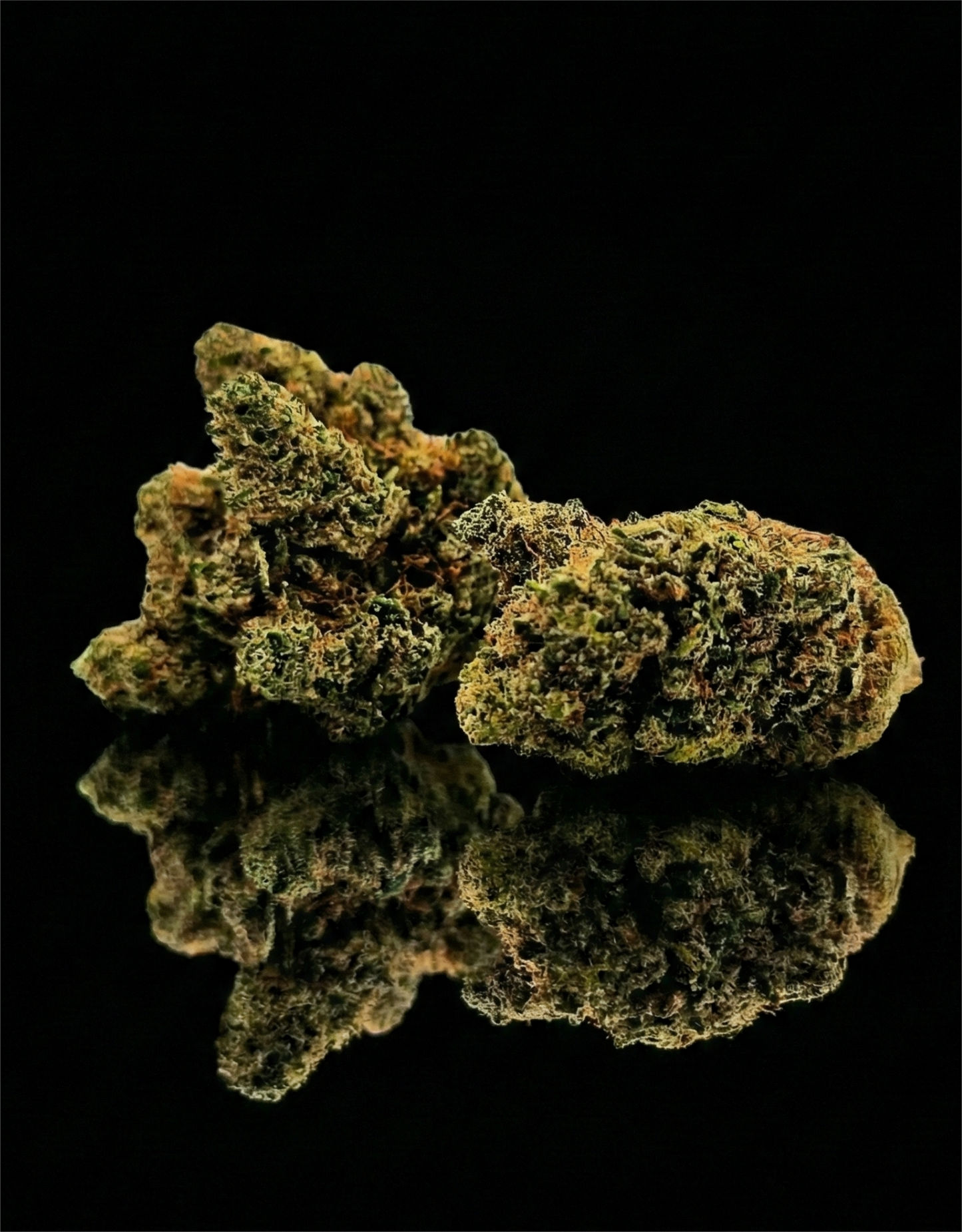 ORANGELLO PRIME | INDOOR