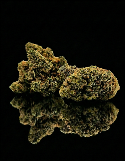 ORANGELLO PRIME | INDOOR