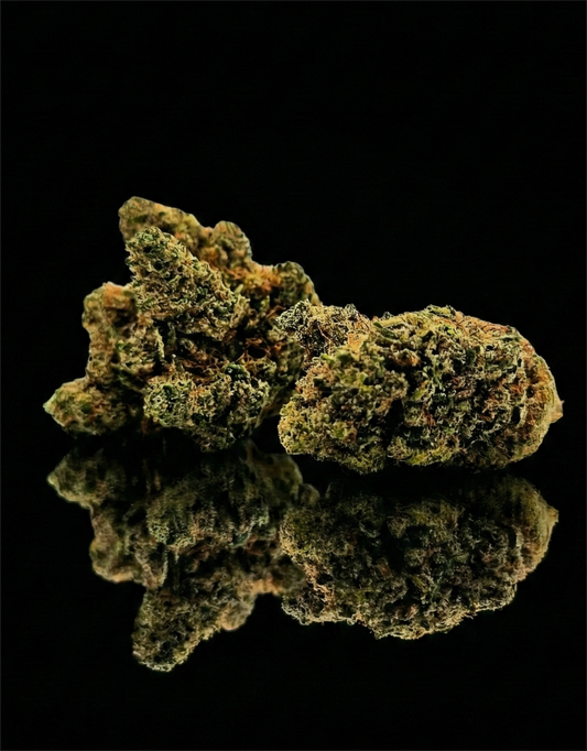 ORANGELLO PRIME | INDOOR
