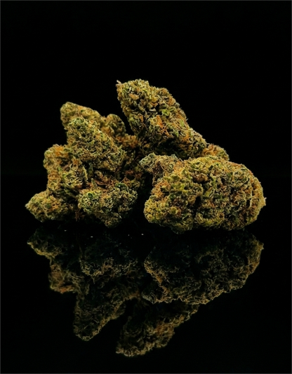 ORANGELLO PRIME | INDOOR